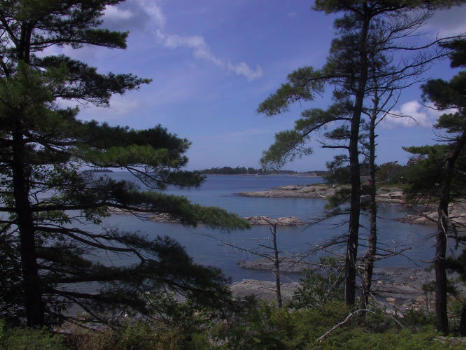 Overlooking Gerogian Bay