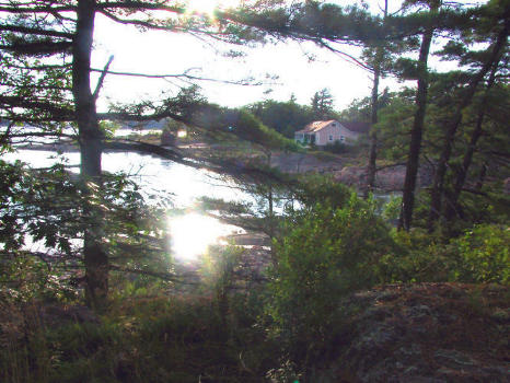 Sunset among Island trees